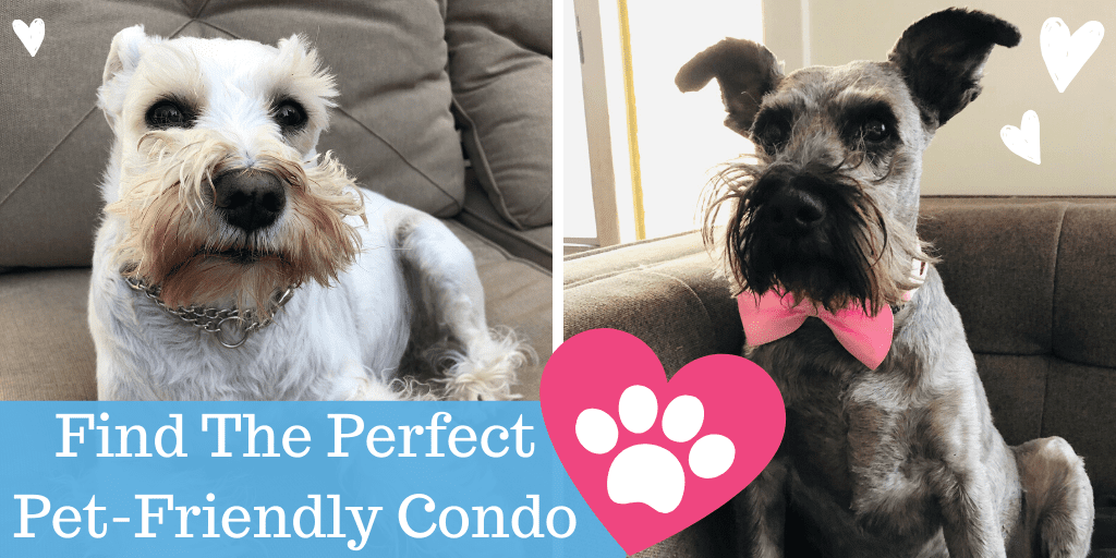 What Do DogFriendly Edmonton Condo Options Look Like? Elisse Moreno